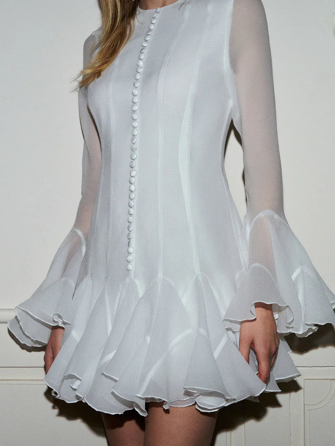 Rosavelle Ruffle Sheer Long Sleeve Mini Dress