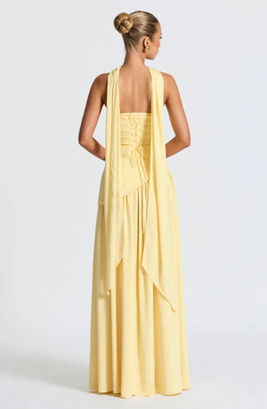 Amelina Strapless Maxi Dress